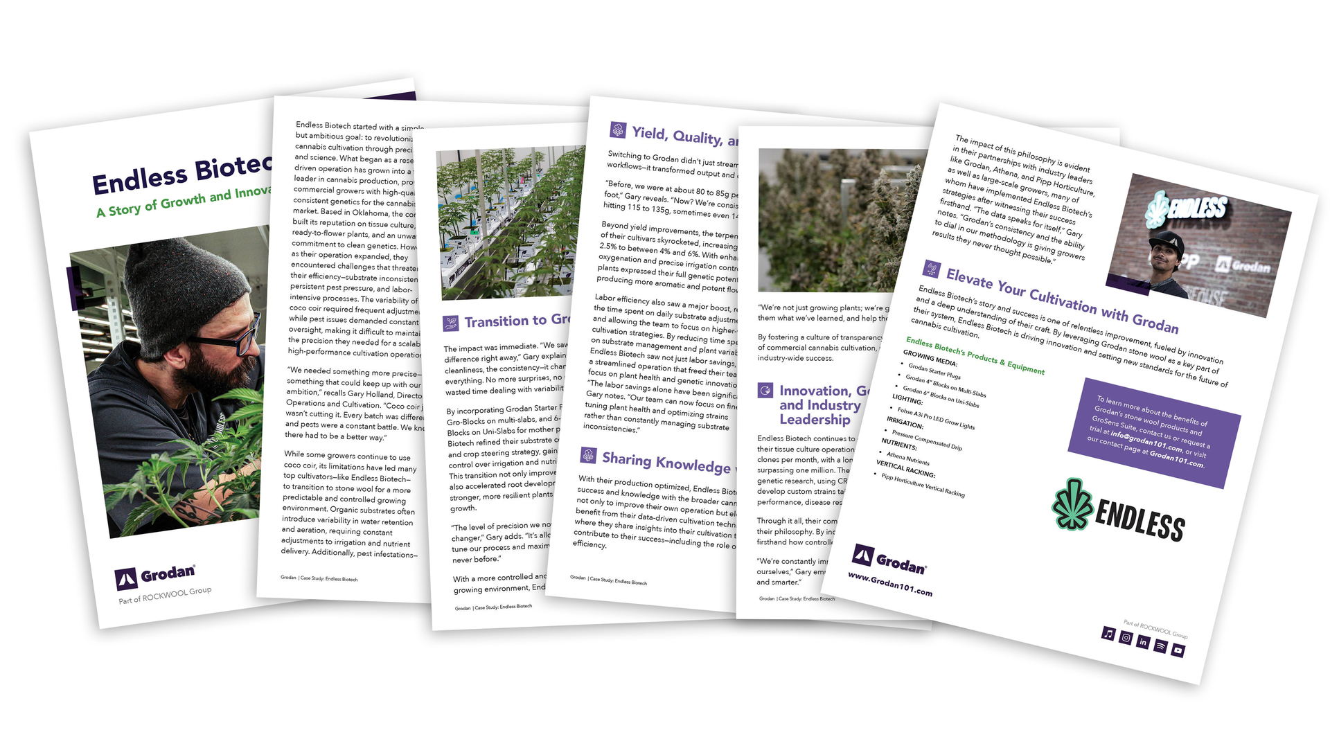 Endless Biotech Case Study