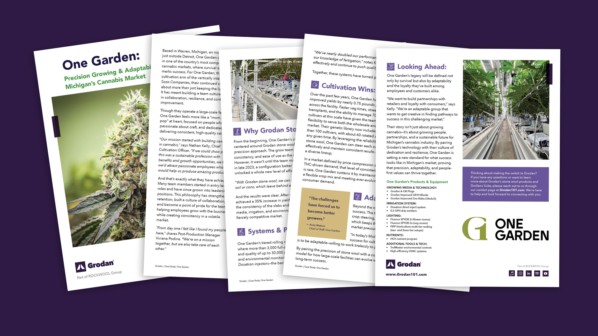 One Garden Case Study Mockup